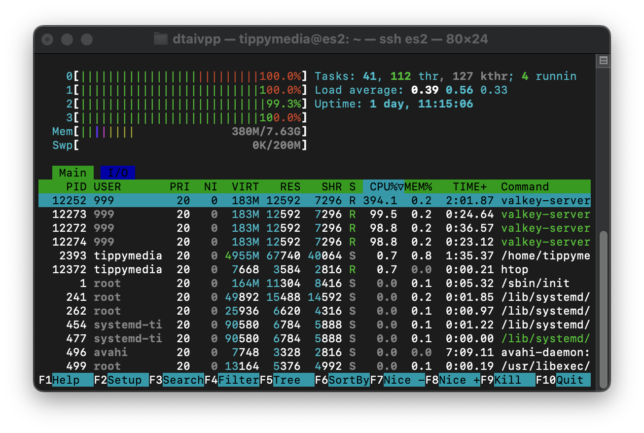 A picture of an HTOP window showing all four of our CPU's at 100% utilization.