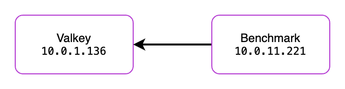 Test architecture showing two nodes: a Benchmark server with the ip of 10.0.11.221 with an arrow pointing to a Valkey server with an ip of 10.0.1.136